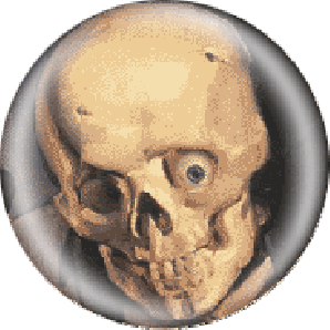 Button 'Human skull'