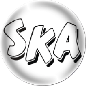 Button 'SKA b/w' *Ska*