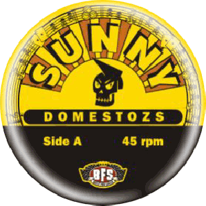 Button 'Sunny Domestozs - Skull'