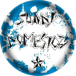 button 'Sunny Domestozs - Logo'