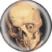 Button 'Human skull'