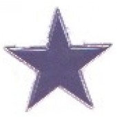 pin 'Star' black