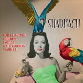 V.A. 'Exotic Blues & Rhythm Vol. 9: Shadrach' 10"