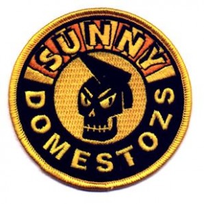 Aufnaeher 'Sunny Domestozs - Skull'