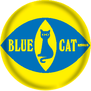 Button 'Blue Cat Records'