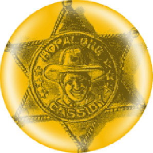 Button 'Sheriffstern'