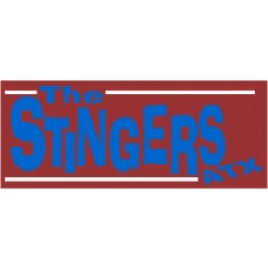 PVC-Aufkleber 'Stingers ATX - eckig'