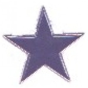 Pin 'Stern' schwarz