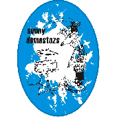 Aufnaeher 'Sunny Domestozs'