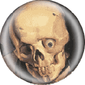 Button 'Human Skull'
