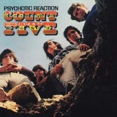 Count Five 'Psychotic Reaction'  LP
