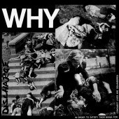 Discharge ‎'Why'  LP