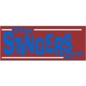 PVC sticker 'Stingers ATX - angular'