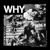 Discharge 'Why'  CD